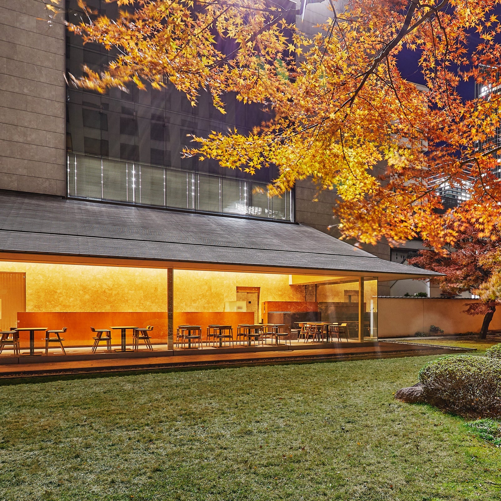 静けさと美味に包まれる、都心のオアシス「茶楓」