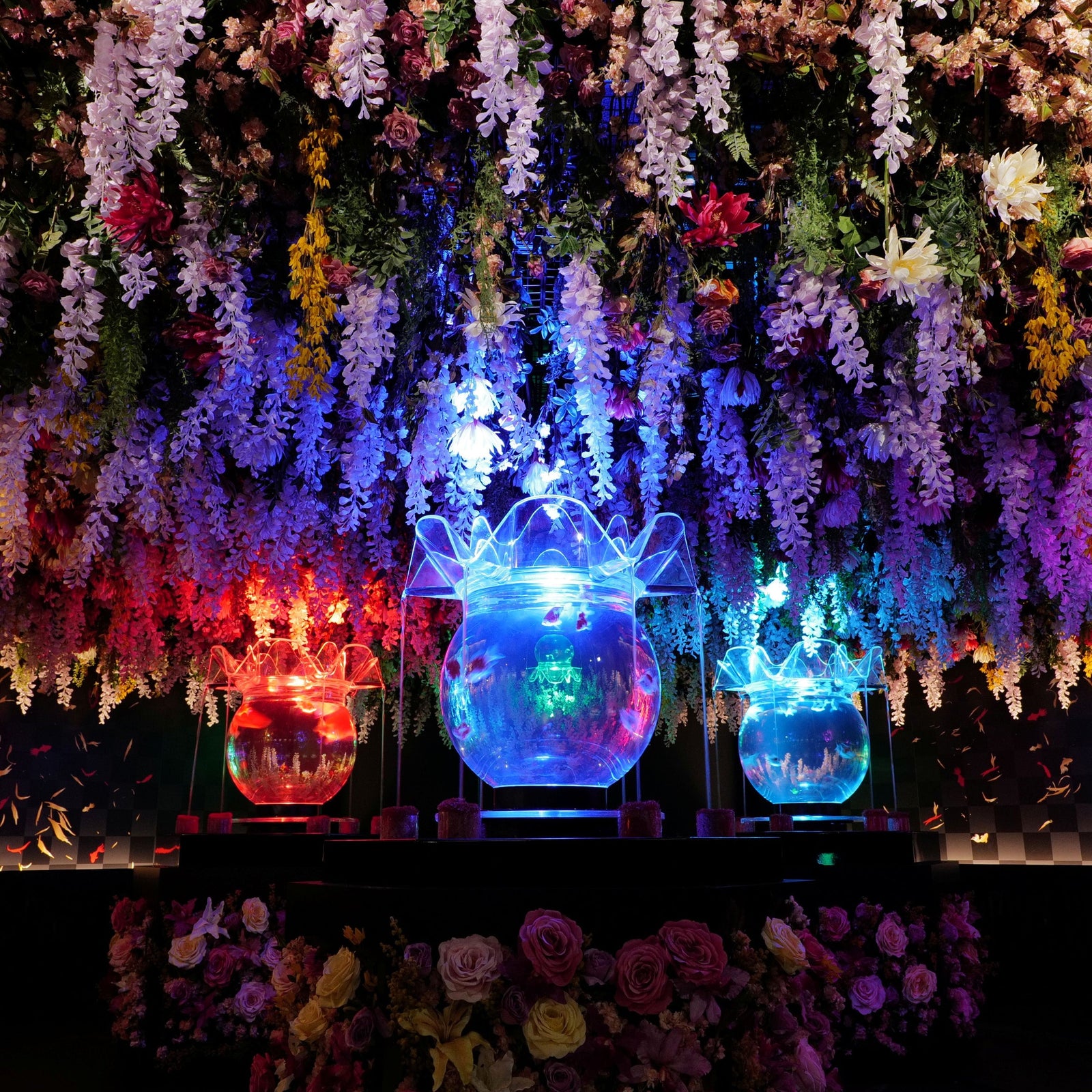 アートアクアリウム展 さいたまスーパーアリーナ2026