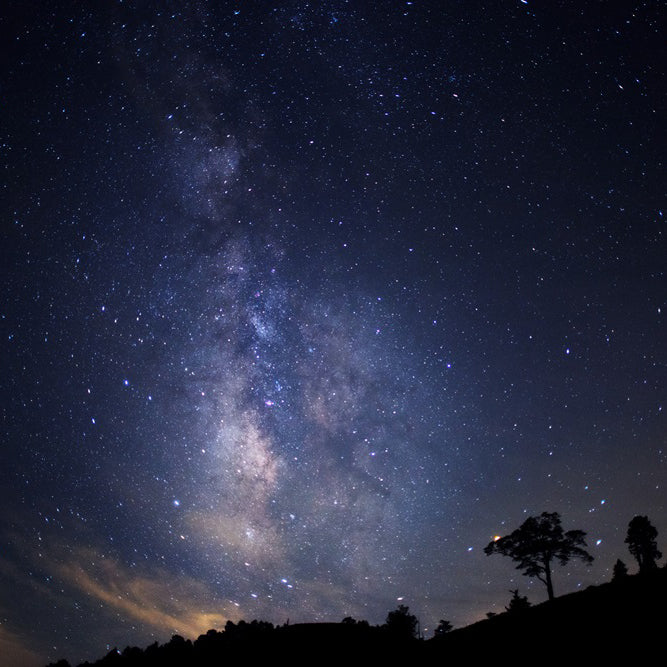 「日本一の星空」長野県阿智村 天空の楽園 ナイトツアー Season2026 開催