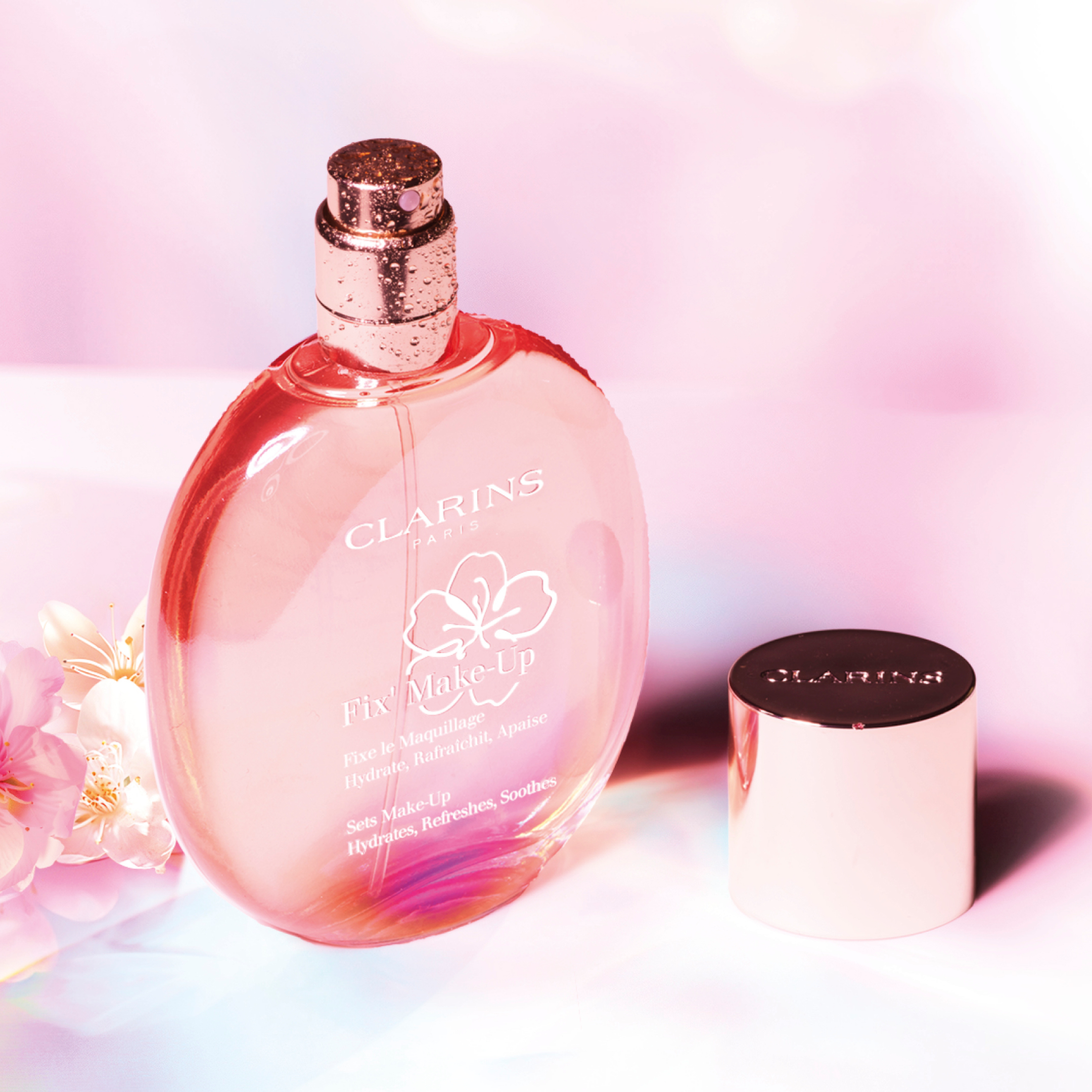 Cropped_Image_-_2024-12-