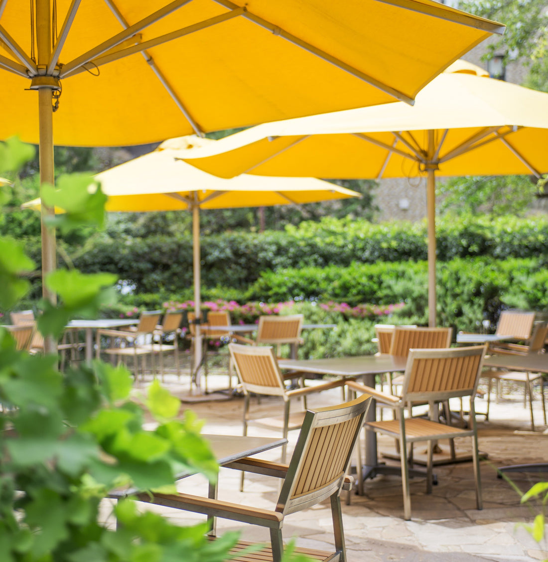 白金で楽しむ、大人のご褒美バーベキュー