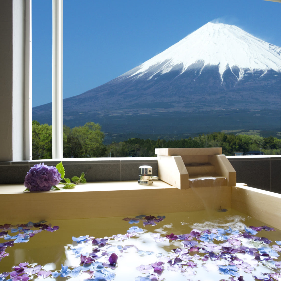 大人の隠れ家、富士山麓の宿泊型<br>ファスティング美容スパで心身を浄化する旅へ