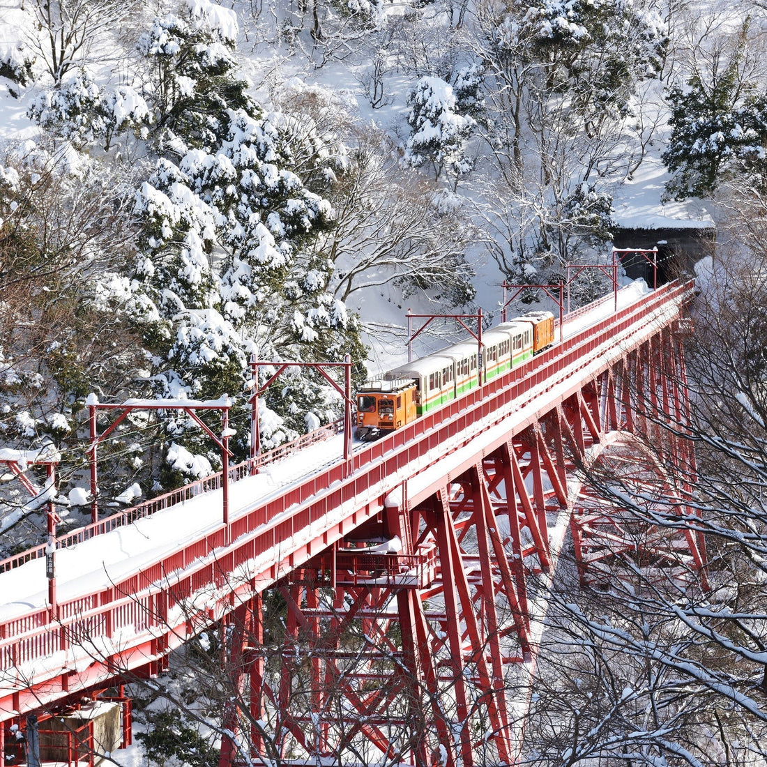 トロッコ電車で行く「冬の黒部峡谷プレミアムツアー宿泊プラン」