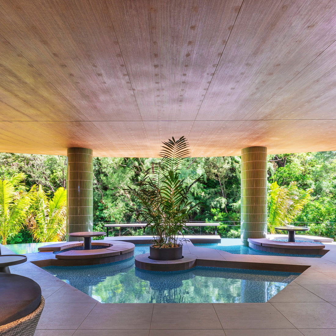 沖縄で日本一早い桜に出会う「Yanbaru Sakura Journey 2026」開催