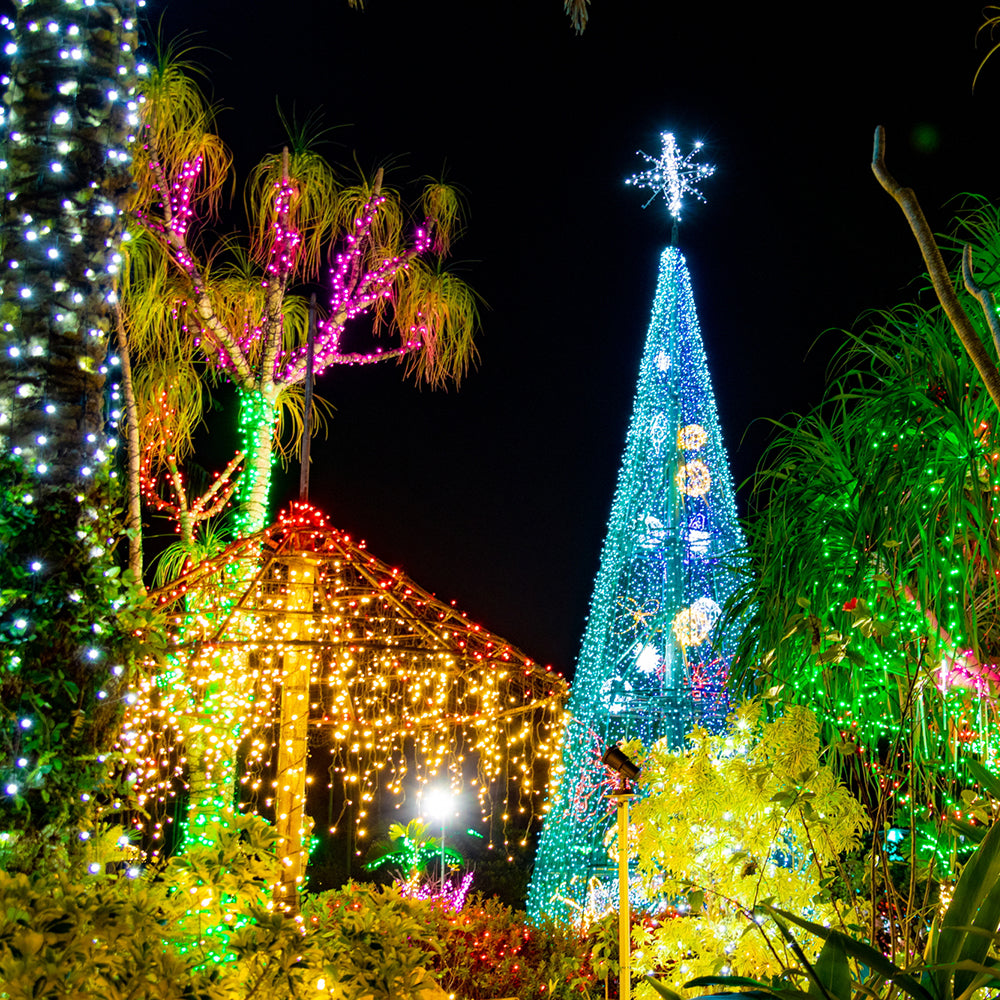 クリスマス、年末年始を彩る、壮大な「沖縄南国イルミネーション2024